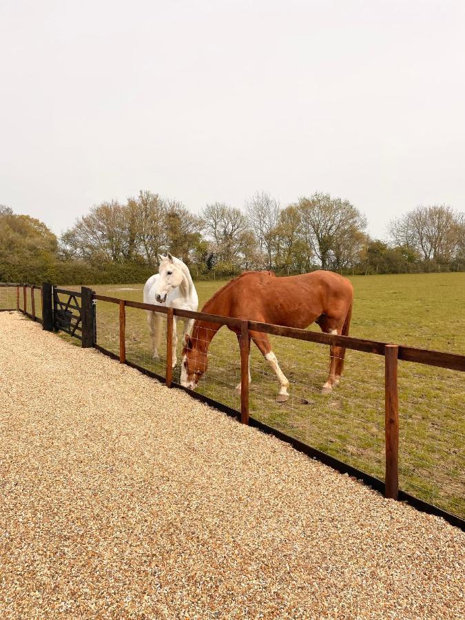 فيلا The Hayloft Gestingthorpe المظهر الخارجي الصورة